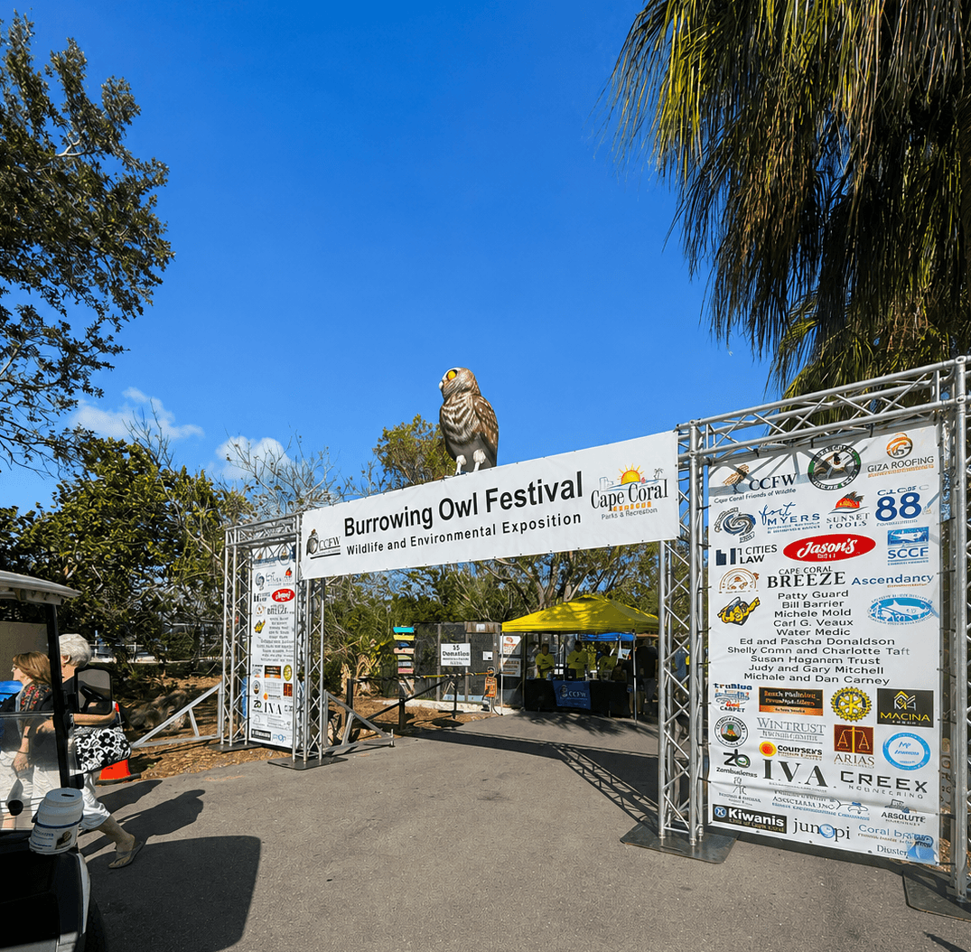 Cape Coral Burrowing Owl Festival: 24th Annual Celebration of Local Wildlife