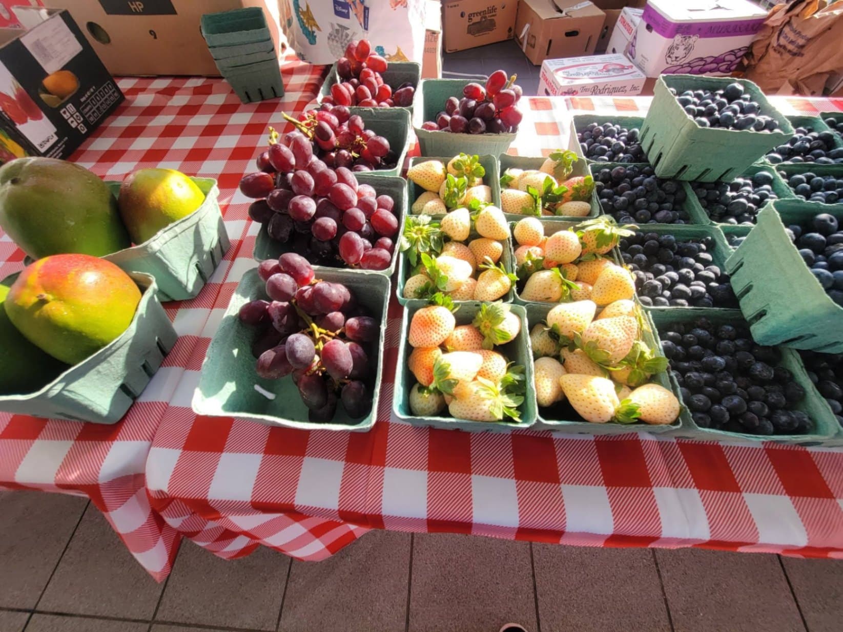 Cape Coral Farmers’ Market