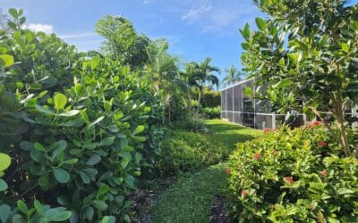 Cape Coral Lawn Care