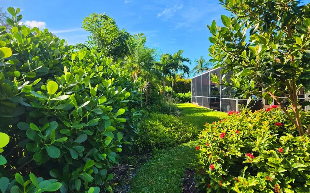 garden-maintenance
