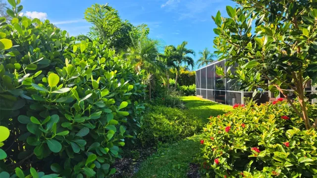 garden-maintenance