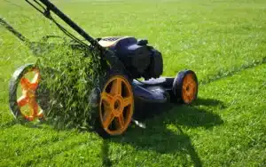 lawn-mowing-service