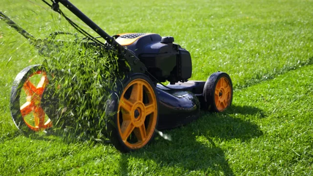 lawn-mowing-service