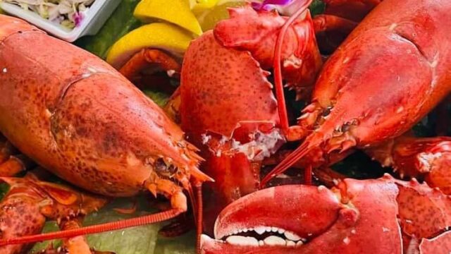 lobsta