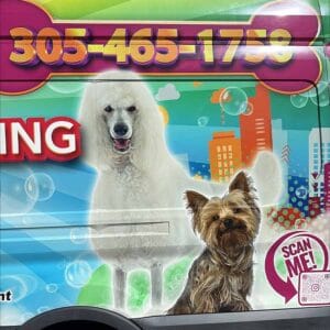 abc-mobile-grooming-fl-03-1