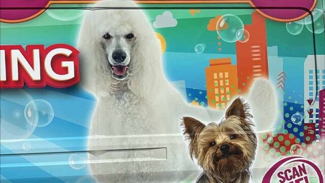 abc-mobile-grooming-fl-03-1